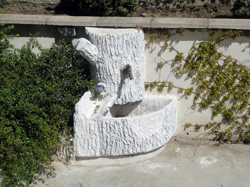 圣弗拉斯卢巴之家旅馆公寓 外观 照片