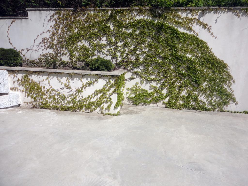 圣弗拉斯卢巴之家旅馆公寓 外观 照片